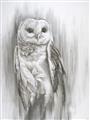 Picture of Living Owl _GroupedProduct_Rectangle_Portrait_Unframed_Print_Only_