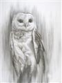 Picture of Living Owl _GroupedProduct_Rectangle_Portrait_Unframed_Print_Only_