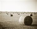 Picture of Hay Bails _GroupedProduct_Rectangle_Landscape_Photography _GroupedProduct_Rectangle_Landscape_Unframed_Print_Only_