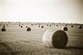 Picture of Hay Bails _GroupedProduct_Rectangle_Landscape_Photography _GroupedProduct_Rectangle_Landscape_Unframed_Print_Only_
