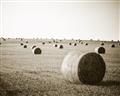 Picture of Hay Bails _GroupedProduct_Rectangle_Landscape_Photography _GroupedProduct_Rectangle_Landscape_Unframed_Print_Only_