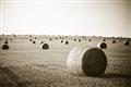 Picture of Hay Bails _GroupedProduct_Rectangle_Landscape_Photography _GroupedProduct_Rectangle_Landscape_Unframed_Print_Only_