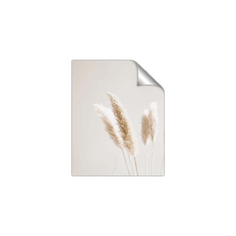 Picture of White Cluster petaled flower _GroupedProduct_Rectangle_Portrait_Photography _GroupedProduct_Rectangle_Portrait_Unframed_Print_Only_