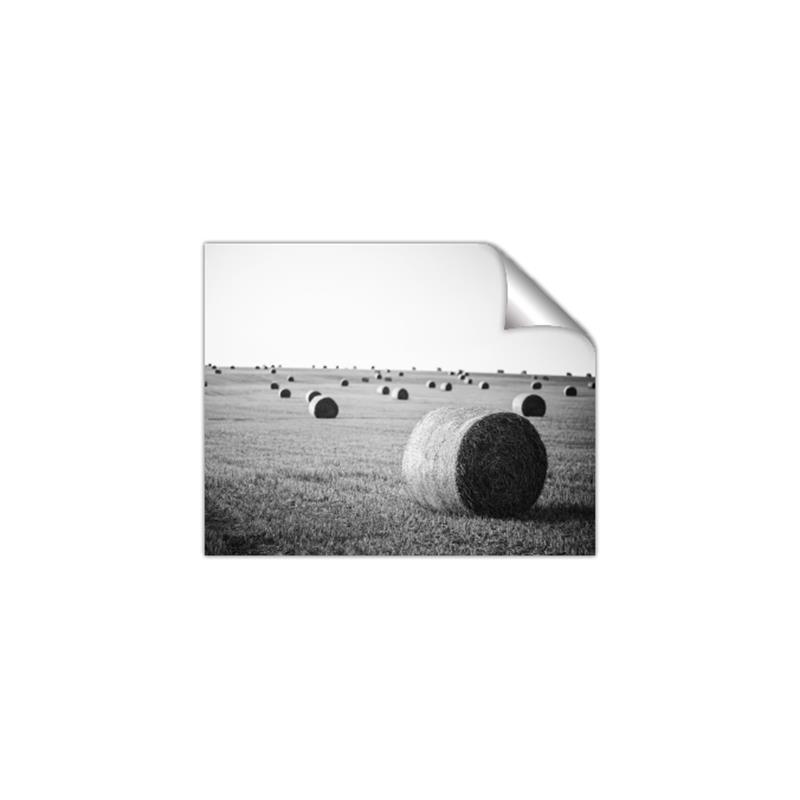 Picture of Hay Bails _GroupedProduct_Rectangle_Landscape_Photography _GroupedProduct_Rectangle_Landscape_Unframed_Print_Only_