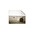 Picture of Hay Bails _GroupedProduct_Rectangle_Landscape_Photography _GroupedProduct_Rectangle_Landscape_Unframed_Print_Only_