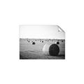 Picture of Hay Bails _GroupedProduct_Rectangle_Landscape_Photography _GroupedProduct_Rectangle_Landscape_Unframed_Print_Only_