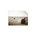 Picture of Hay Bails _GroupedProduct_Rectangle_Landscape_Photography _GroupedProduct_Rectangle_Landscape_Unframed_Print_Only_