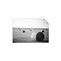 Picture of Hay Bails _GroupedProduct_Rectangle_Landscape_Photography _GroupedProduct_Rectangle_Landscape_Unframed_Print_Only_