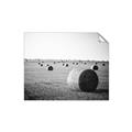 Picture of Hay Bails _GroupedProduct_Rectangle_Landscape_Photography _GroupedProduct_Rectangle_Landscape_Unframed_Print_Only_