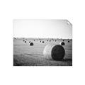 Picture of Hay Bails _GroupedProduct_Rectangle_Landscape_Photography _GroupedProduct_Rectangle_Landscape_Unframed_Print_Only_