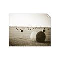 Picture of Hay Bails _GroupedProduct_Rectangle_Landscape_Photography _GroupedProduct_Rectangle_Landscape_Unframed_Print_Only_