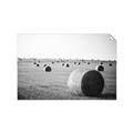 Picture of Hay Bails _GroupedProduct_Rectangle_Landscape_Photography _GroupedProduct_Rectangle_Landscape_Unframed_Print_Only_