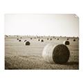 Picture of Hay Bails _GroupedProduct_Rectangle_Landscape_Photography _GroupedProduct_Rectangle_Landscape_Unframed_Print_Only_