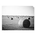 Picture of Hay Bails _GroupedProduct_Rectangle_Landscape_Photography _GroupedProduct_Rectangle_Landscape_Unframed_Print_Only_