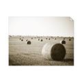 Picture of Hay Bails _GroupedProduct_Rectangle_Landscape_Photography _GroupedProduct_Rectangle_Landscape_Unframed_Print_Only_