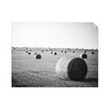 Picture of Hay Bails _GroupedProduct_Rectangle_Landscape_Photography _GroupedProduct_Rectangle_Landscape_Unframed_Print_Only_