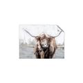 Picture of Bison _GroupedProduct_Rectangle_Landscape_Unframed_Print_Only_