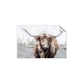 Picture of Bison _GroupedProduct_Rectangle_Landscape_Unframed_Print_Only_