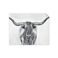 Picture of Painted Longhorn Bull _GroupedProduct_Rectangle_Landscape_Unframed_Print_Only_