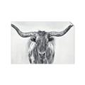 Picture of Painted Longhorn Bull _GroupedProduct_Rectangle_Landscape_Unframed_Print_Only_