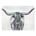 Picture of Painted Longhorn Bull _GroupedProduct_Rectangle_Landscape_Unframed_Print_Only_