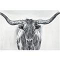 Picture of Painted Longhorn Bull _GroupedProduct_Rectangle_Landscape_Unframed_Print_Only_