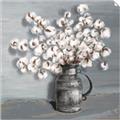 Picture of Cotton Flower _GroupedProduct_Square_Unframed_Print_Only_