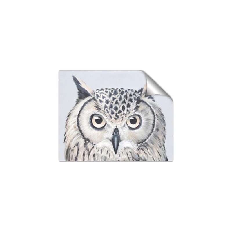 Picture of Close-up The Owl Head _GroupedProduct_Rectangle_Landscape_Unframed_Print_Only_