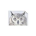 Picture of Close-up The Owl Head _GroupedProduct_Rectangle_Landscape_Unframed_Print_Only_