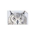 Picture of Close-up The Owl Head _GroupedProduct_Rectangle_Landscape_Unframed_Print_Only_