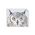 Picture of Close-up The Owl Head _GroupedProduct_Rectangle_Landscape_Unframed_Print_Only_