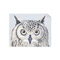 Picture of Close-up The Owl Head _GroupedProduct_Rectangle_Landscape_Unframed_Print_Only_