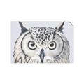 Picture of Close-up The Owl Head _GroupedProduct_Rectangle_Landscape_Unframed_Print_Only_