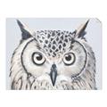 Picture of Close-up The Owl Head _GroupedProduct_Rectangle_Landscape_Unframed_Print_Only_