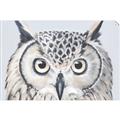 Picture of Close-up The Owl Head _GroupedProduct_Rectangle_Landscape_Unframed_Print_Only_