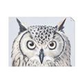 Picture of Close-up The Owl Head _GroupedProduct_Rectangle_Landscape_Unframed_Print_Only_