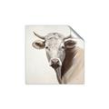 Picture of Neutral Cow _GroupedProduct_Square_Unframed_Print_Only_