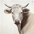 Picture of Neutral Cow _GroupedProduct_Square_Unframed_Print_Only_