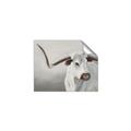 Picture of Cow with Big Horn _GroupedProduct_Rectangle_Landscape_Unframed_Print_Only_