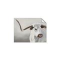 Picture of Cow with Big Horn _GroupedProduct_Rectangle_Landscape_Unframed_Print_Only_