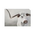 Picture of Cow with Big Horn _GroupedProduct_Rectangle_Landscape_Unframed_Print_Only_