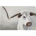 Picture of Cow with Big Horn _GroupedProduct_Rectangle_Landscape_Unframed_Print_Only_
