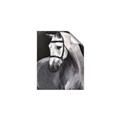 Picture of Soft Horse _GroupedProduct_Rectangle_Portrait_Unframed_Print_Only_