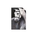 Picture of Soft Horse _GroupedProduct_Rectangle_Portrait_Unframed_Print_Only_