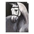 Picture of Soft Horse _GroupedProduct_Rectangle_Portrait_Unframed_Print_Only_