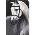 Picture of Soft Horse _GroupedProduct_Rectangle_Portrait_Unframed_Print_Only_