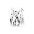 Picture of Wild Trio _GroupedProduct_Rectangle_Portrait_Unframed_Print_Only_