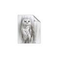 Picture of Living Owl _GroupedProduct_Rectangle_Portrait_Unframed_Print_Only_