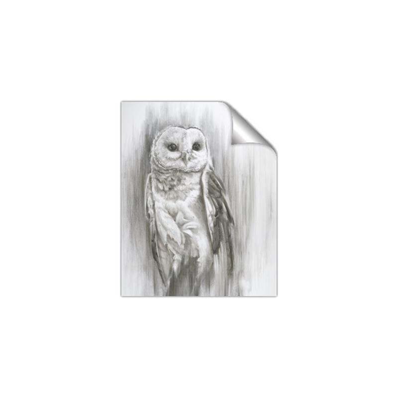 Picture of Living Owl _GroupedProduct_Rectangle_Portrait_Unframed_Print_Only_