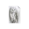 Picture of Living Owl _GroupedProduct_Rectangle_Portrait_Unframed_Print_Only_